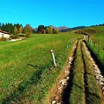 Mountain And Iseo Mountain Iseo Hospitality